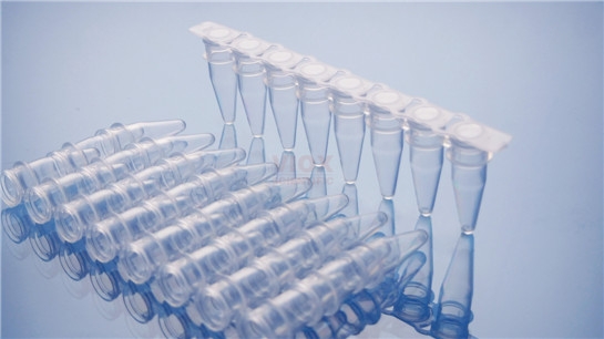 PCR八联排管0.2ml 透明/乳白色V2081-C