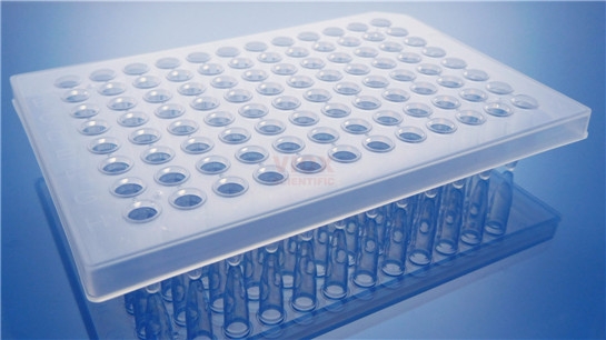 0.2ml透明半裙边96孔PCR板,平盖单管VP2011-C