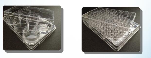 一次性细胞培养瓶/培养皿,96孔可拆酶标板191-0181