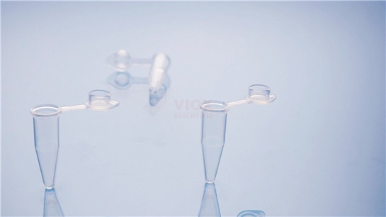 上海 PCR单管（PCR管平盖）透明V101-C