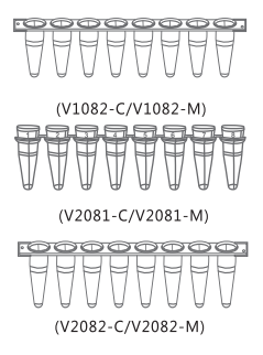 0.1mlPCR8联管（矮管）一套,荧光定量8联排V1082-C