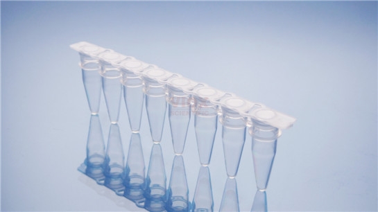 PCR 8联管 0.1ml透明配PCR八联管光学平盖V1082-C