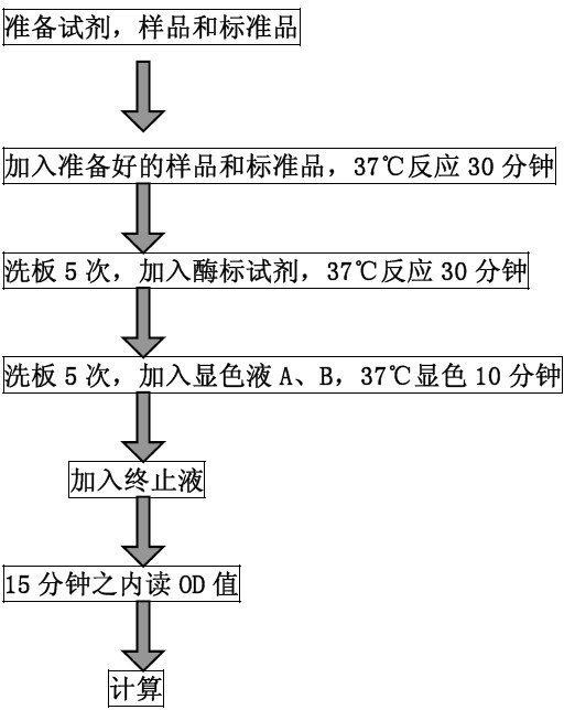 植物（25（OH）D3/25 HVD3）ELISA检测试剂盒BS-4933
