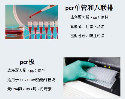 8联管厂家-0.2ml带盖PCR八联管BS-PCR-082-C
