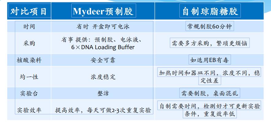 琼脂糖预染预制胶电泳试剂盒