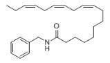 N-Benzyllinolenamide对照品_883715-18-2