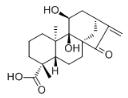 腺茎酸B对照品（Adenostemmoic acid B）_130217-16-2