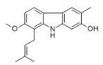 异硫脲茶碱B对照品_107903-15-1