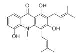 N-Methylatalaphylline对照品_28233-34-3