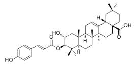 3-O-反式对香豆酰基山楂酸对照品_35482-91-8
