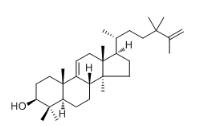 24,24-Dimethyl-5α-lanosta-9(11),25-dien-3β-ol_33762-29-7