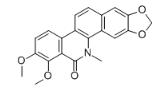 氧基白屈菜季铵碱对照品_28342-33-8