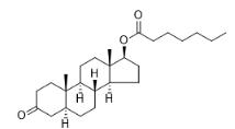 雄诺龙庚酸酯对照品_33776-88-4