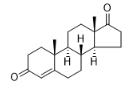 雄烯二酮对照品_63-05-8