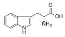 色氨酸对照品_153-94-6