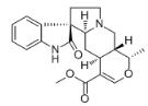 帽柱木碱对照品_509-80-8