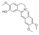 伪哥伦巴胺对照品（Pseudocolumbamine）_64191-04-4