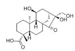 Adenostemmoic acid D对照品_130217-20-8