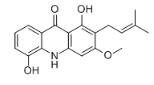 布西非拉定C对照品(Buxifoliadine C)_263007-67-6