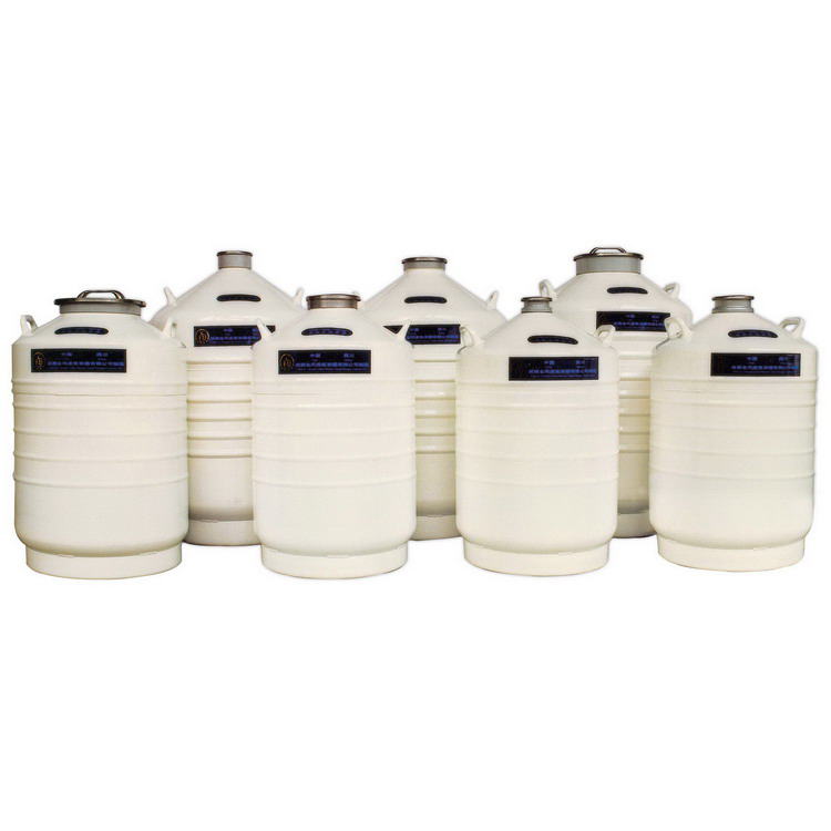 金凤 液氮生物容器运输型（YDS-100B-80合格品）