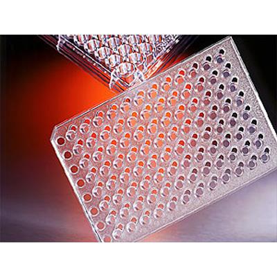 Corning康宁 HTS transwell-96孔透过性支持物系统和板 3.0umPC膜孔径 (3386)