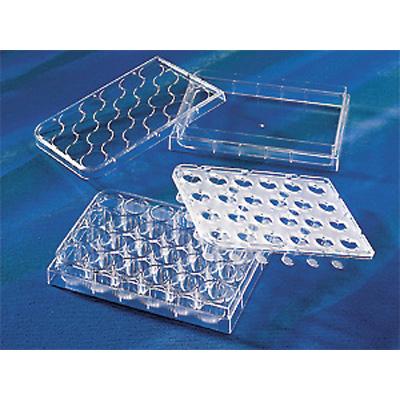 Corning康宁 HTS transwell-24孔透过性支持物 0.4umPC膜孔径 (3397)