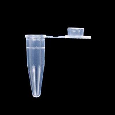 Axygen 爱思进 0.5ml PCR 透明薄壁管(平盖)(PCR-05-C)