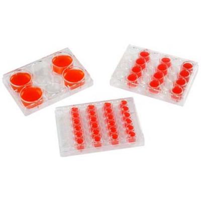 JET BIOFIL洁特 一次性细胞培养板 标准型 96孔 (TCP011096)