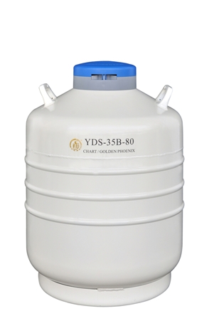 成都金凤运输型液氮生物容器YDS-35B-80，含六个120MM高的提筒